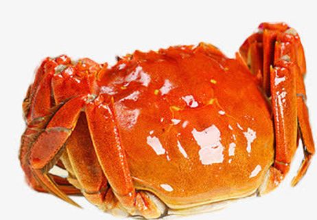 中秋节大闸蟹高清图片免抠