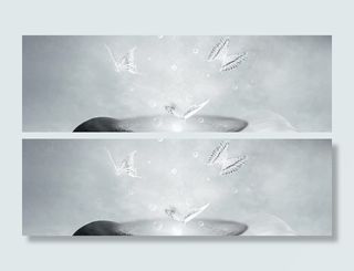 浅灰色三只蝴蝶背景高清