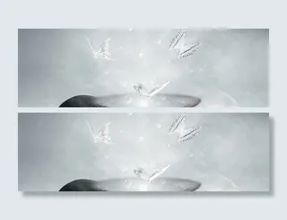 浅灰色三只蝴蝶背景高清