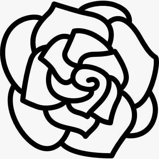 Gardenia 图标免抠