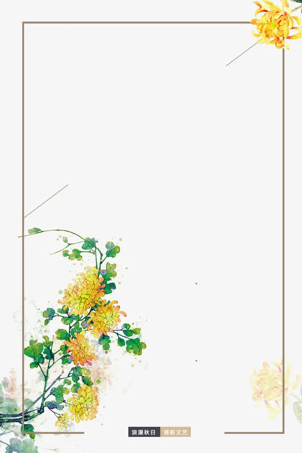 菊花边框免抠