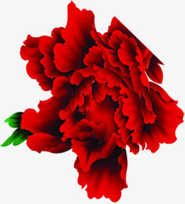 手绘红色春节牡丹免抠