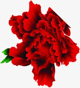 手绘红色春节牡丹免抠