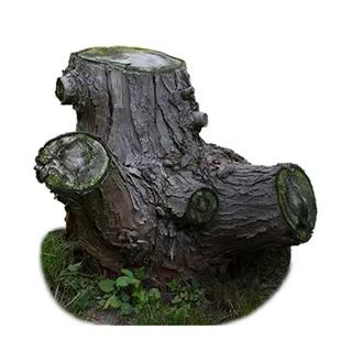 仿真树桩实物免抠png免抠