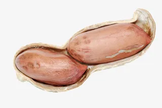 剥开的花生免抠