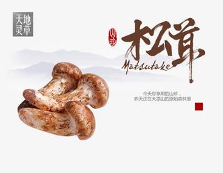 野菌山珍清新松茸海报设计免抠
