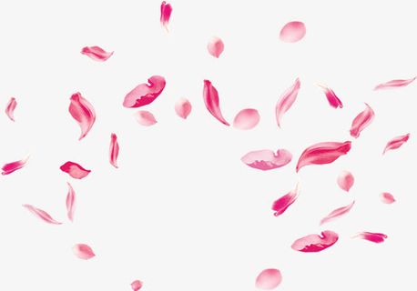 春天粉红色漂浮花瓣免抠漂浮叶子元素