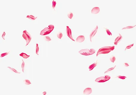 春天粉红色漂浮花瓣免抠漂浮叶子元素