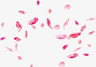 春天粉红色漂浮花瓣免抠漂浮叶子元素