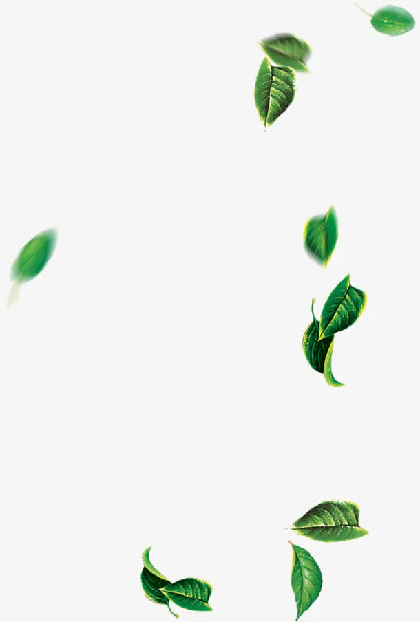 摄影夏日海报绿色漂浮树叶免抠