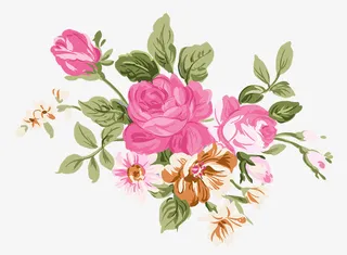 粉色玫瑰花免抠