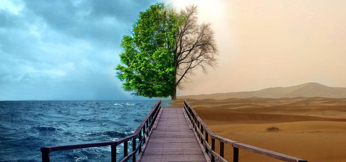 生机与死亡高清