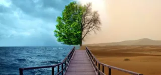 生机与死亡高清