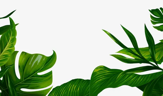 简约大气纹理背景免抠手绘/卡通卡通元素