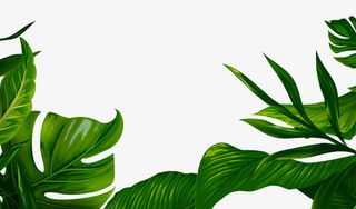 简约大气纹理背景免抠手绘/卡通卡通元素