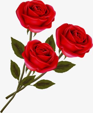 装饰图片卡通装饰图片免抠