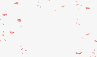 唯美漂浮散落花瓣免抠
