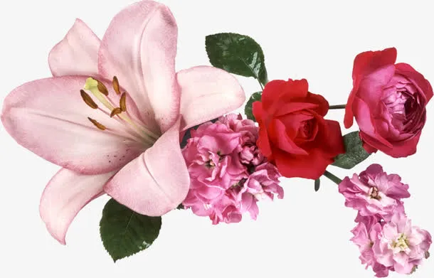 装饰花朵免抠