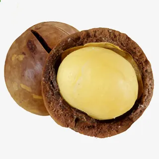 剖开的夏威夷果免抠