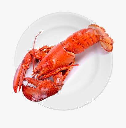 波斯顿大龙虾免抠
