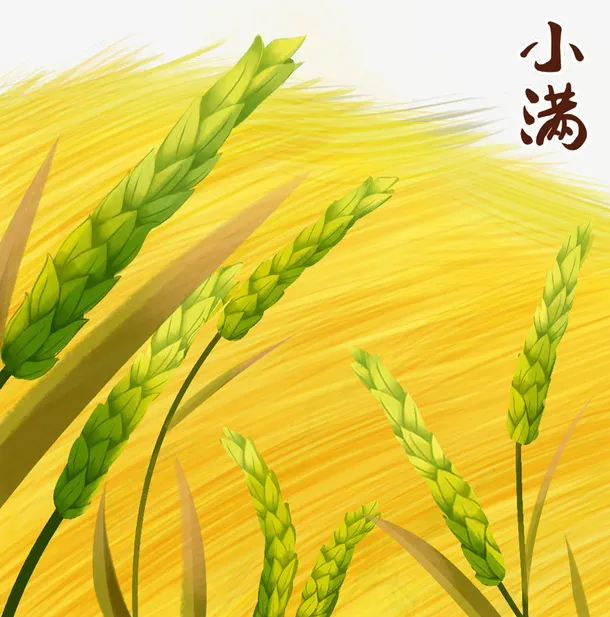 金色纹理小麦田元素免抠
