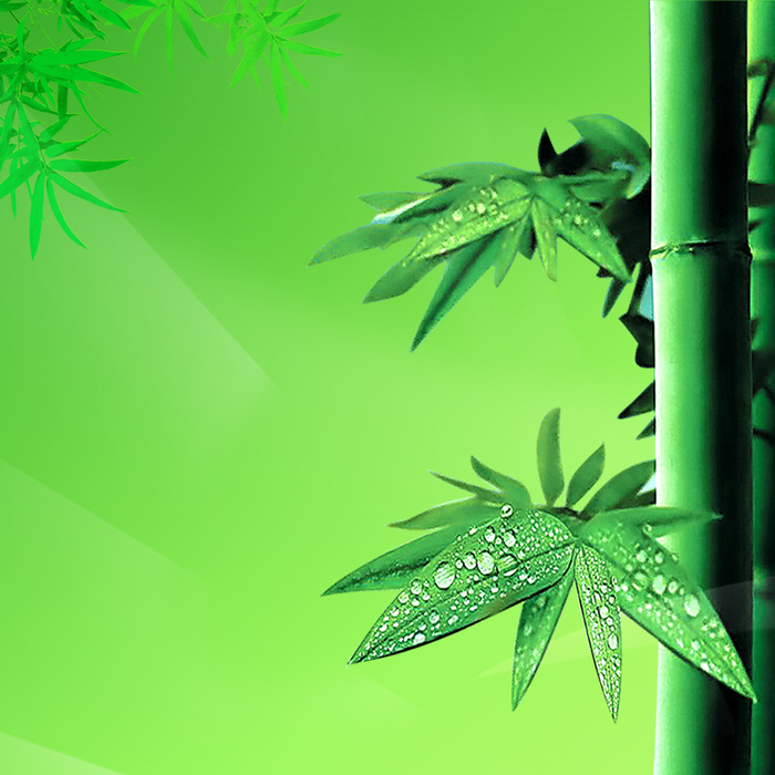 绿色竹林装修PSD分层主图背景素材高清