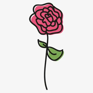 玫瑰花素材免抠