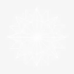 白色多边形放射花瓣免抠