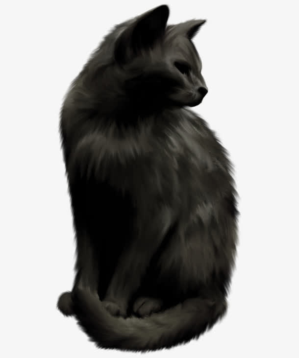 高冷黑猫免抠