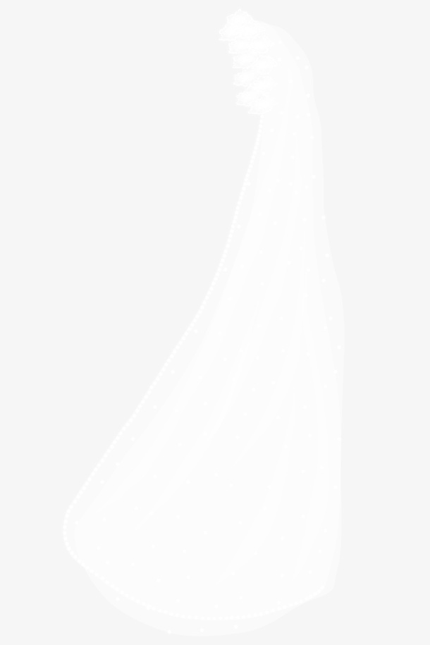 头纱婚纱素材免抠