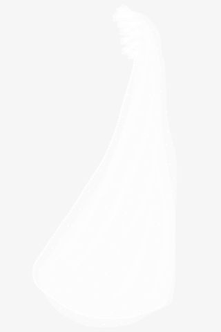 头纱婚纱素材免抠