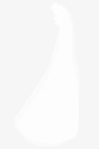 头纱婚纱素材免抠