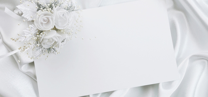 白色花朵背景图高清