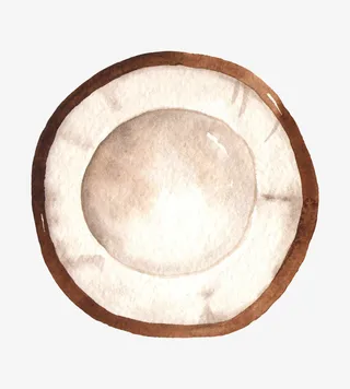 水彩水果椰子免抠