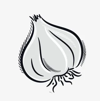 手绘白色蒜头免抠