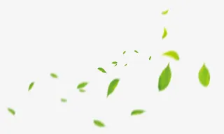 清新绿叶飘落免抠