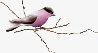 树枝上的小鸟免抠