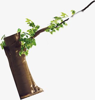 创意树叶树枝美景免抠