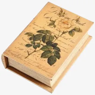 卡通英伦风图片欧美图标免抠