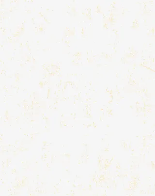 黄色斑斓花纹免抠