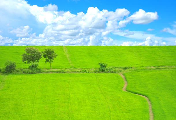 美丽草原风景免抠