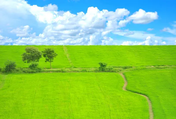 美丽草原风景免抠