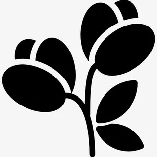 Flowers 图标免抠