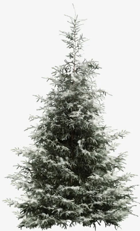 雪花大树免抠