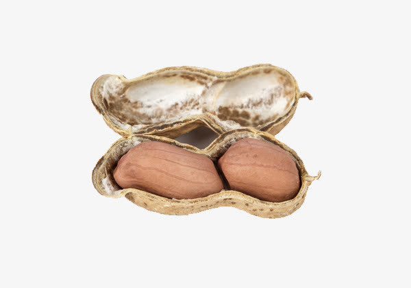 剥开的花生免抠