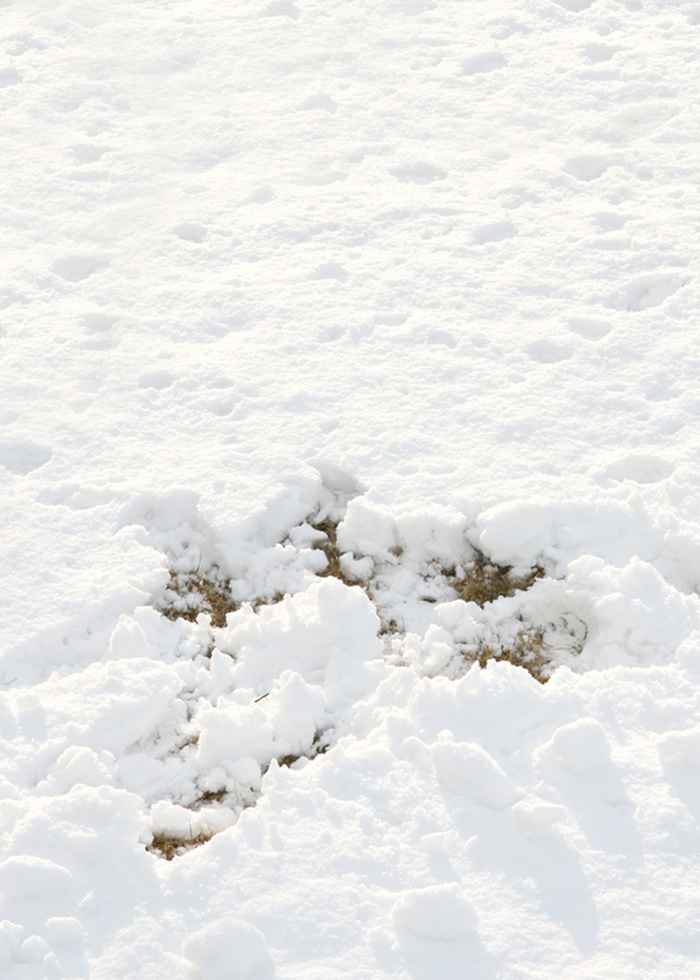 圣诞节白色雪地唯美背景高清