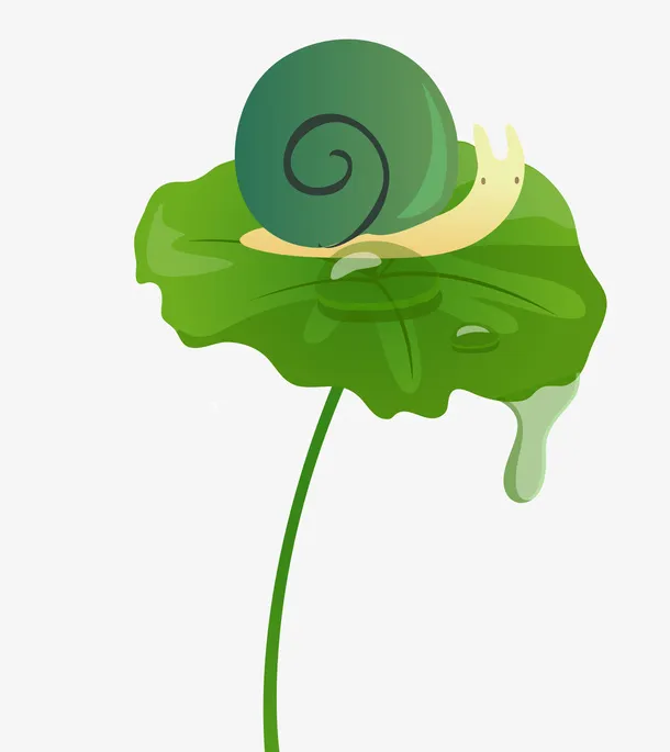 荷叶上的蜗牛免抠