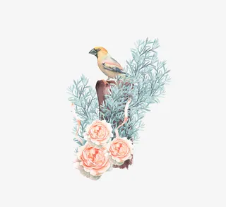 免抠春季树木上站立的鸟免抠