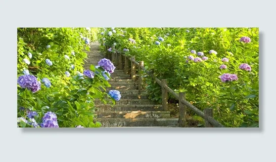 植物花路海报高清 植物花路海报高清