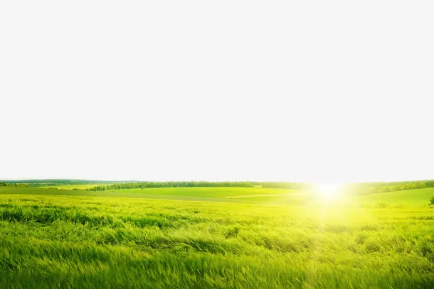 春天美丽的大草原风景高清图片免抠